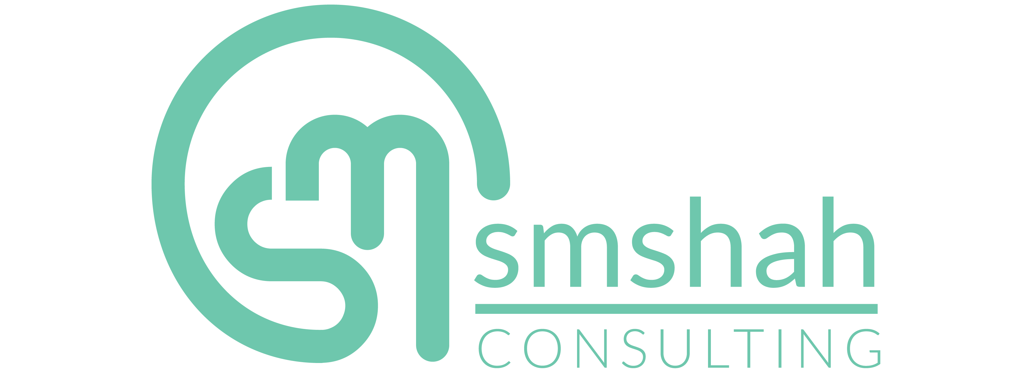 SMShah Consulting